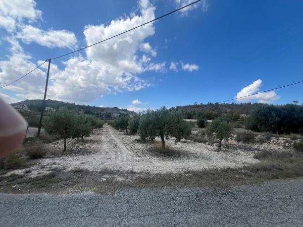 Terreno en Partida els Cotxinets, 27, Petrer photo 3