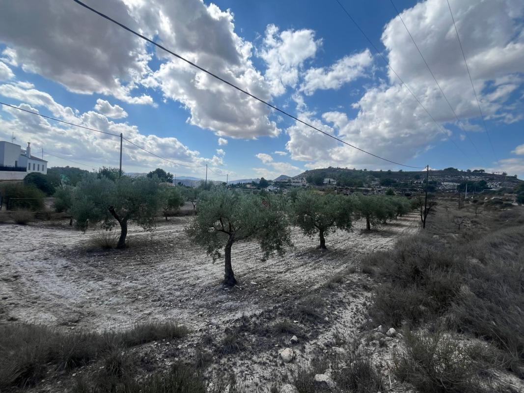 Terreno en venta en Petrer, Alicante photo 5