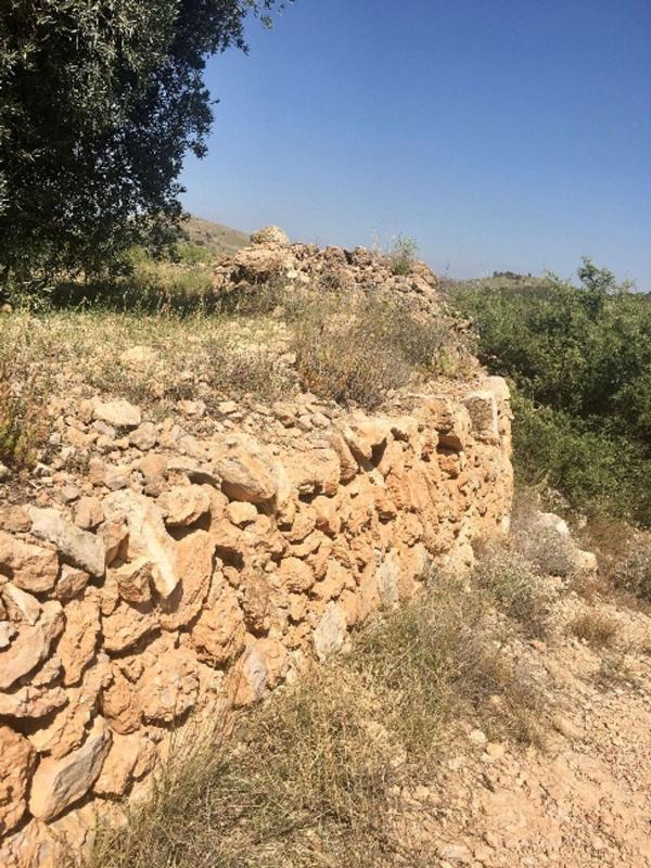 Terreno en venta en La Romana, Alicante photo 3