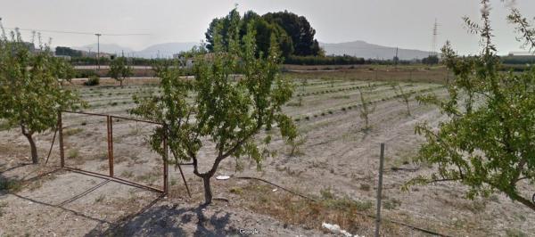 Terreno en Las Tiesas, Villena photo 2