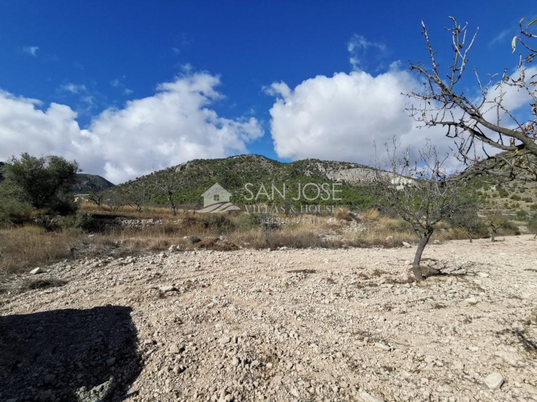 Terreno en venta en Monovar, Alicante photo 5