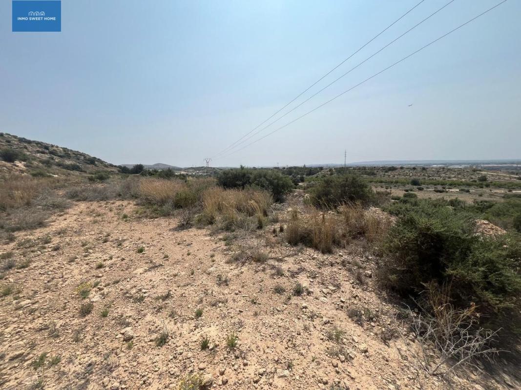 Działka na sprzedaż w Elche / Elx, Alicante photo 2