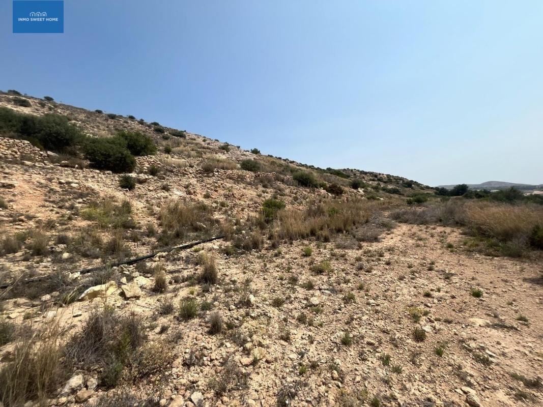 Działka na sprzedaż w Elche / Elx, Alicante photo 4