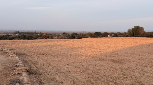 Terreno en La Marina, Elche / Elx photo 1