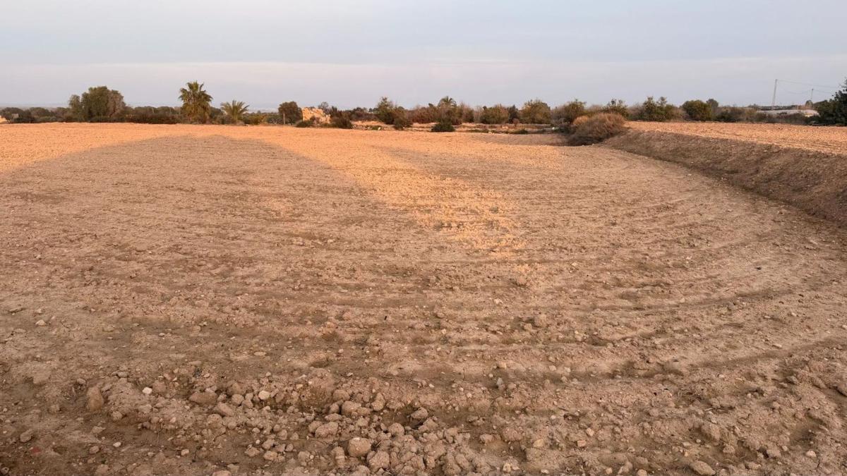 Działka na sprzedaż w Elche / Elx, Alicante photo 2
