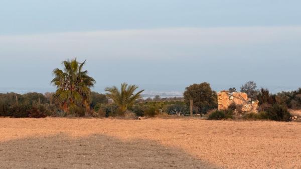 Terreno en La Marina, Elche / Elx thumbnail 3
