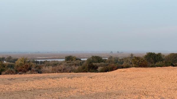 Terreno en La Marina, Elche / Elx photo 4