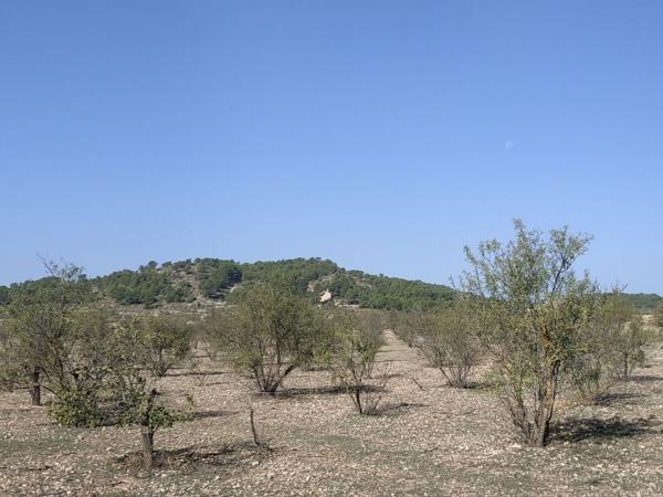 Terreno en diseminados, 28, Cañada photo 1