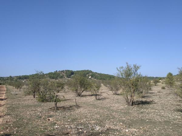Terreno en diseminados, 28, Cañada thumbnail 3