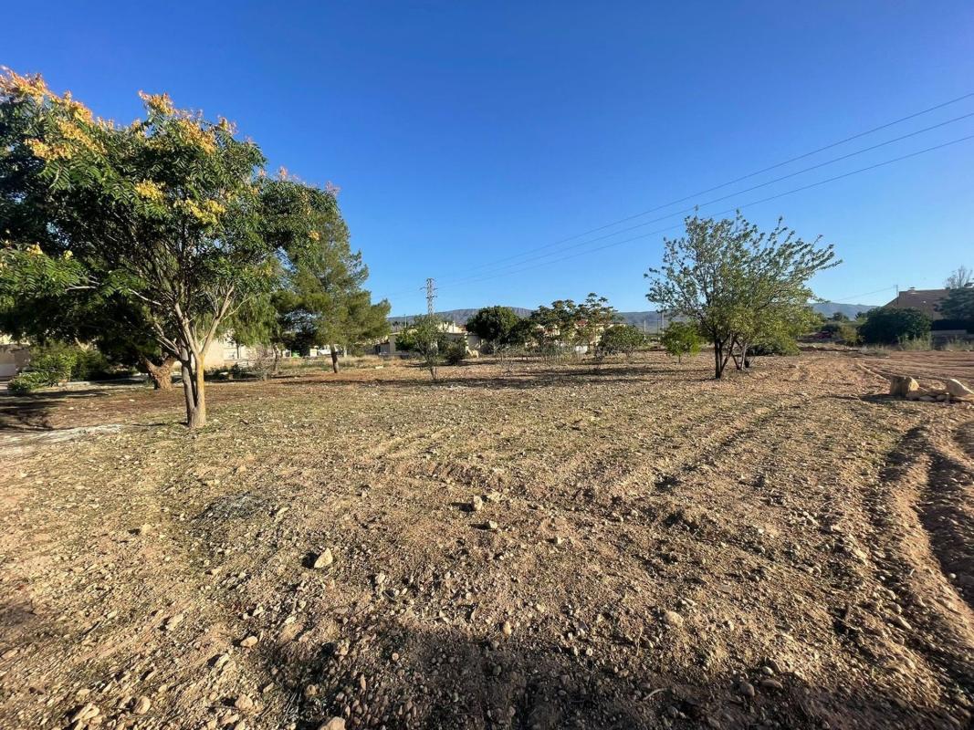 Terreno en venta en Pinoso, Alicante photo 2