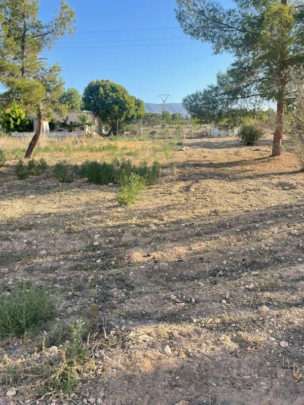 Terreno en venta en Pinoso, Alicante photo 4