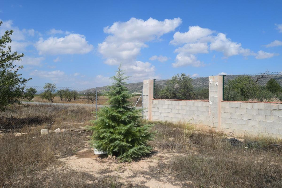 Terreno en venta en Cañada, Alicante photo 5