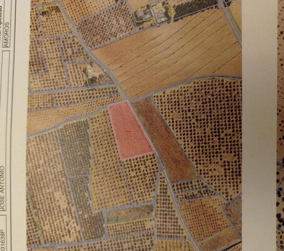 Terreno en venta en Beneixama, Alicante photo 1