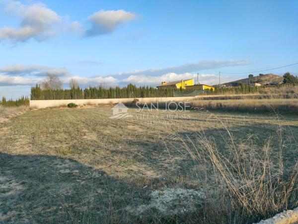 Terreno en Pedanías Oeste, Aspe photo 1