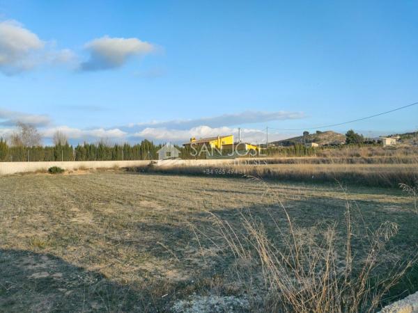 Terreno en Pedanías Oeste, Aspe photo 4