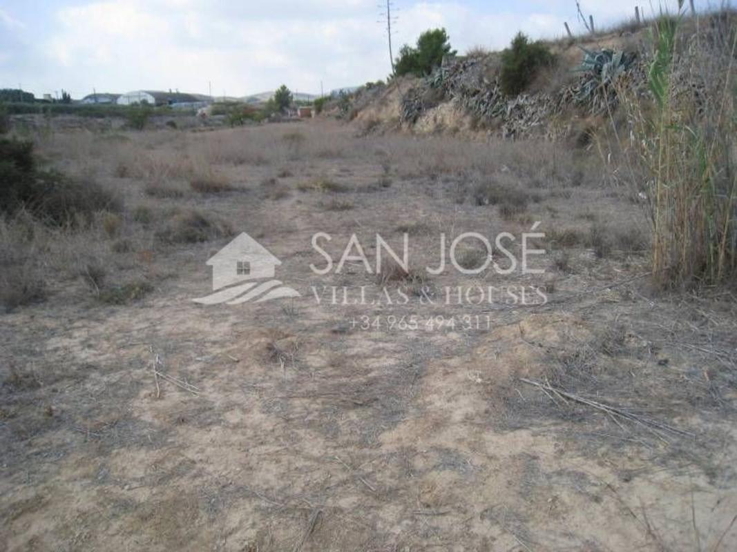 Terreno en venta en Aspe, Alicante photo 4