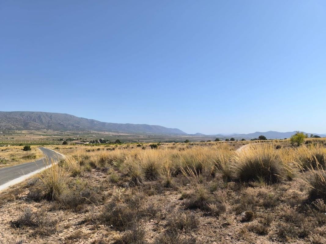 Terreno en venta en Pinoso, Alicante photo 1