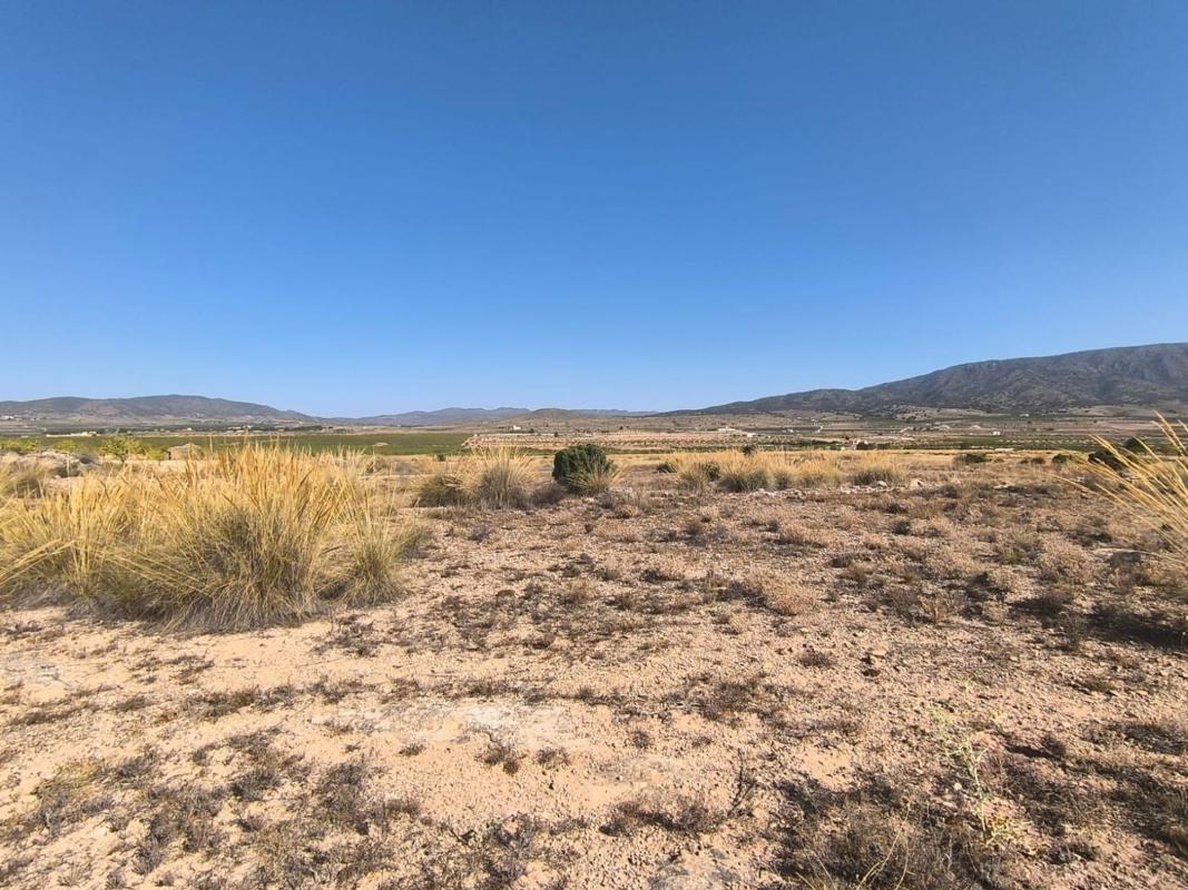 Terreno en venta en Pinoso, Alicante photo 4