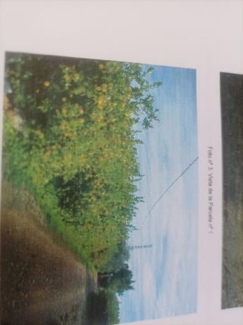 Terreno en molins, km 3, Molins-Campaneta-San Bartolomé, Orihuela thumbnail 2