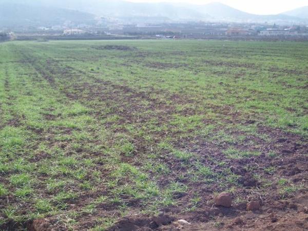 Terreno en Hondón de los Frailes photo