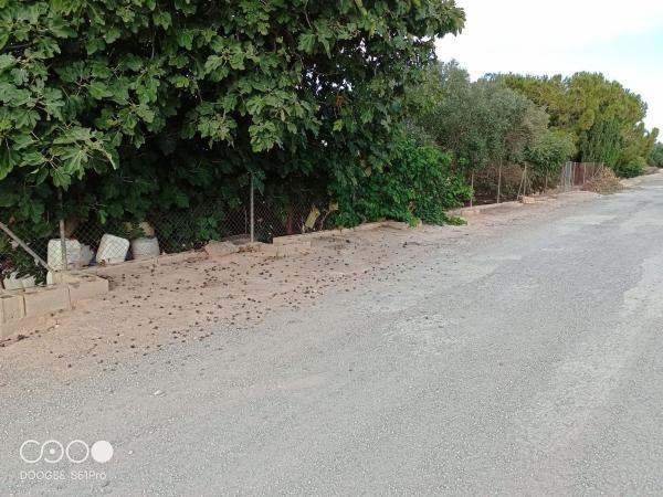 Terreno en Calle Rojales, 86, Zona Pueblo, Guardamar del Segura thumbnail 3