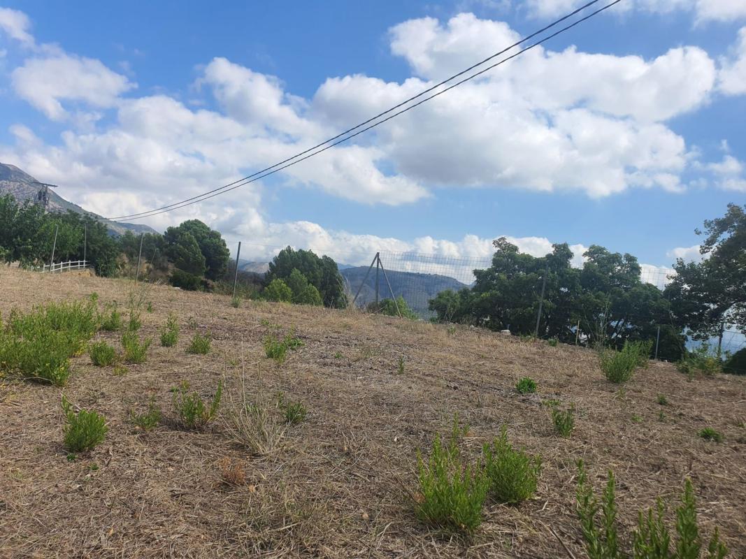 Terreno en venta en Callosa d''En Sarria, Alicante photo 4