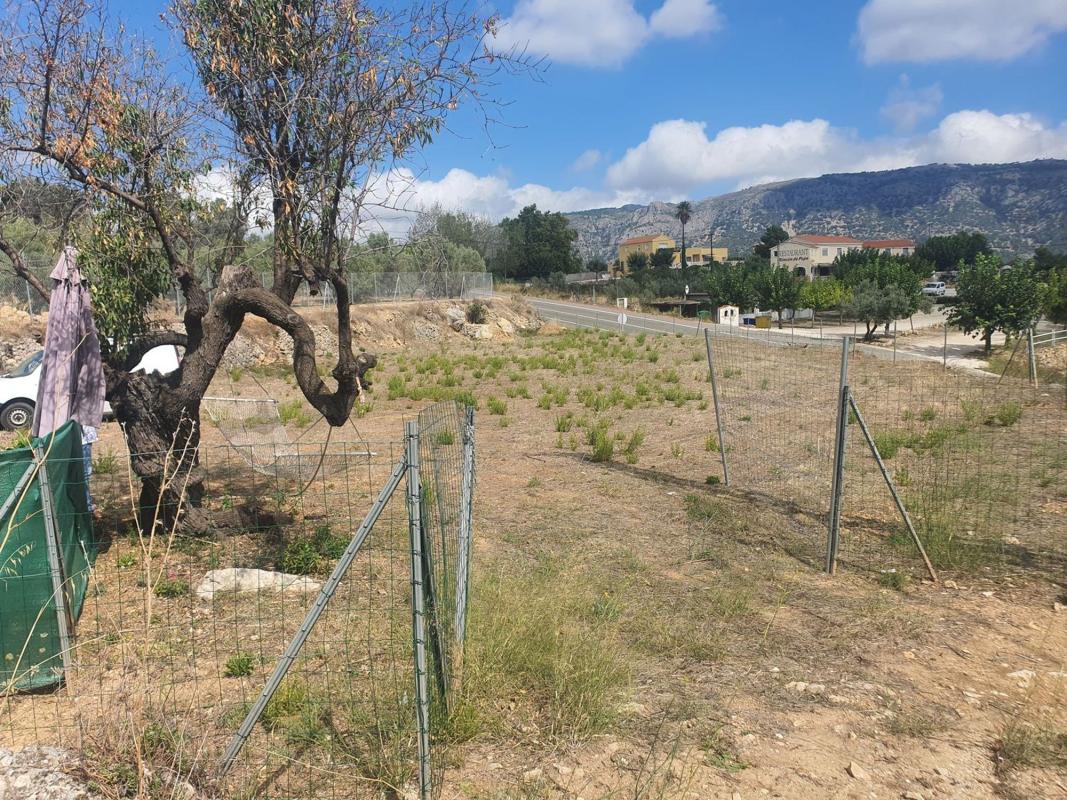 Terreno en venta en Callosa d''En Sarria, Alicante photo 5
