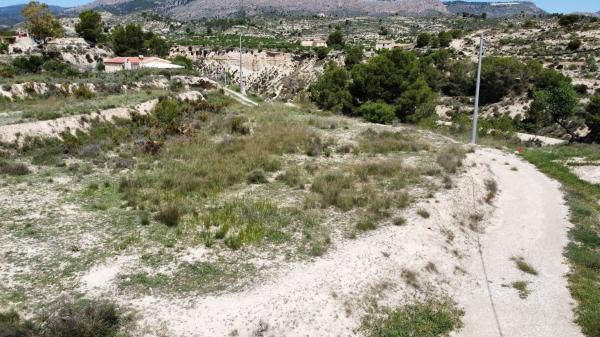 Terreno en Camino Macaroves, 151, Relleu photo 1