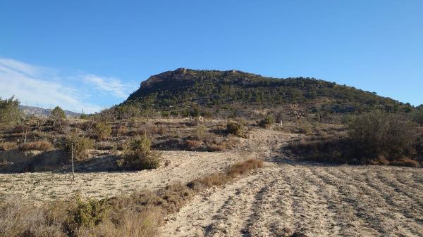 Terreno en Camino Macaroves, 69, Relleu photo 1