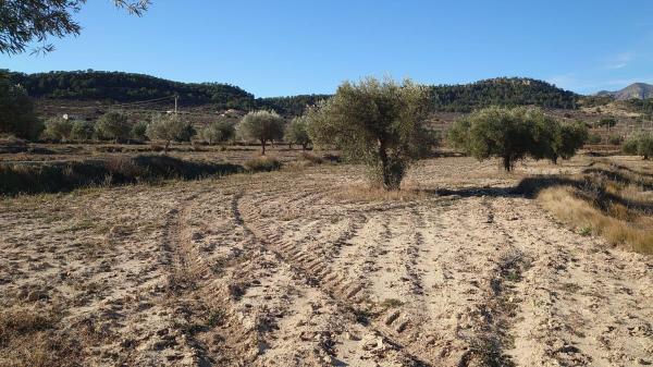 Terreno en Camino Macaroves, 69, Relleu photo 2