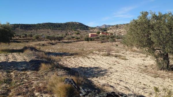 Terreno en Camino Macaroves, 69, Relleu photo 4