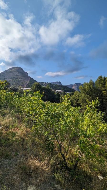 Terreno en venta en Bolulla, Alicante photo 1