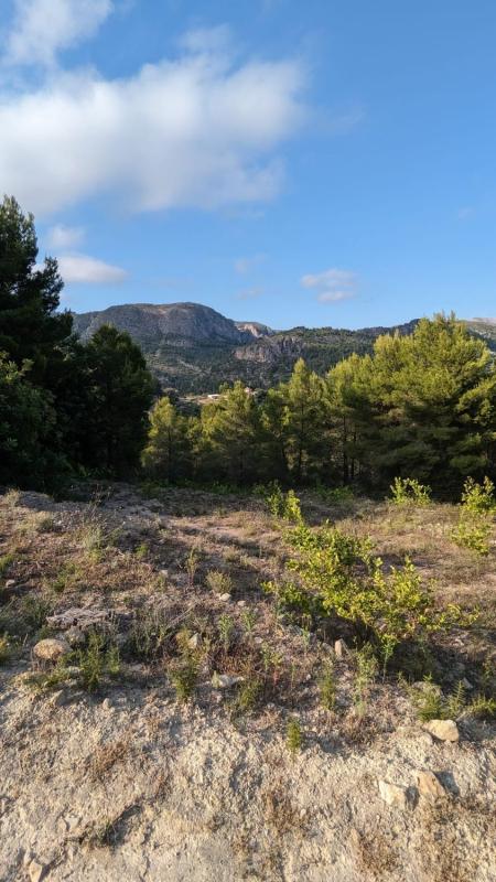 Terreno en venta en Bolulla, Alicante photo 5