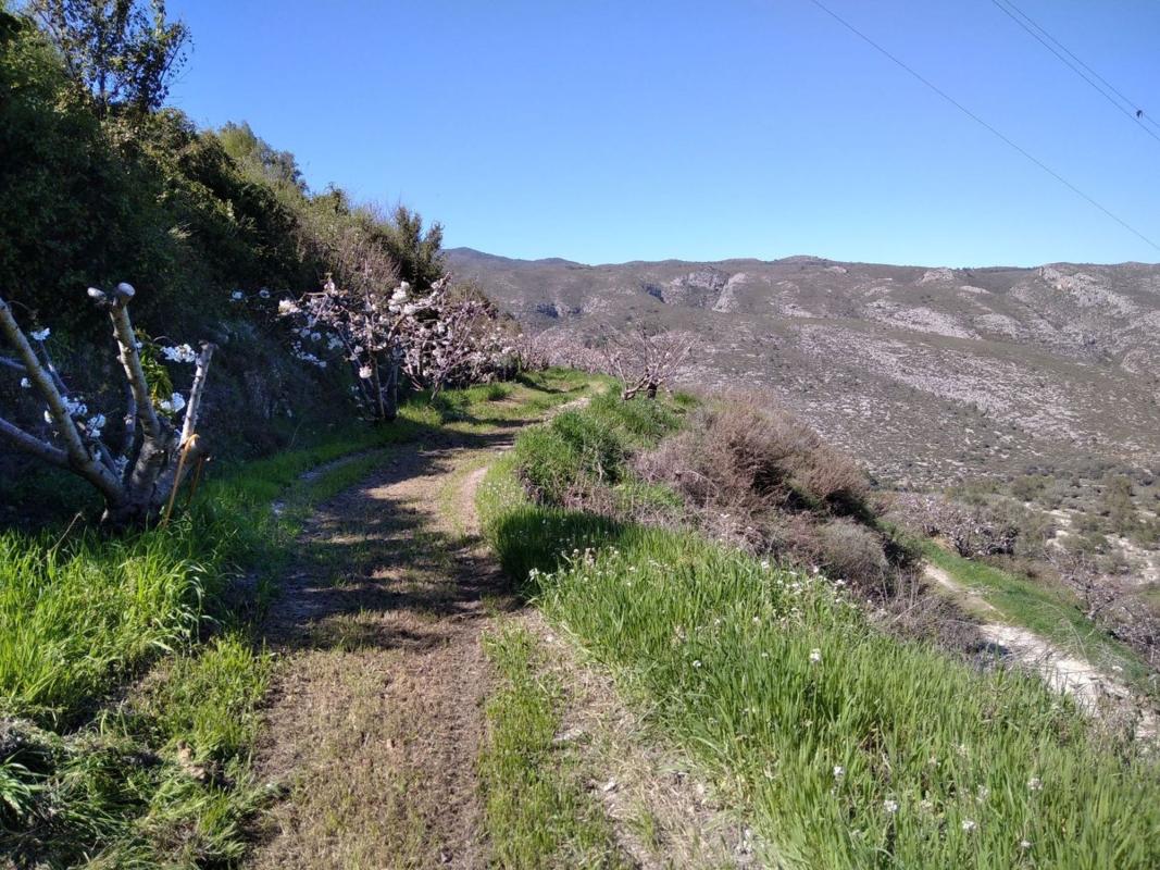 Działka na sprzedaż w Val de Gallinera, Alicante photo 1