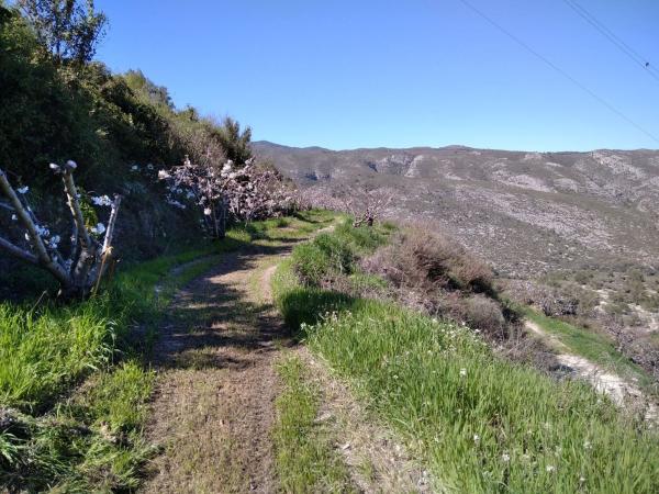 Terreno en Calle Cv-700 s/n, Vall de Gallinera photo 1