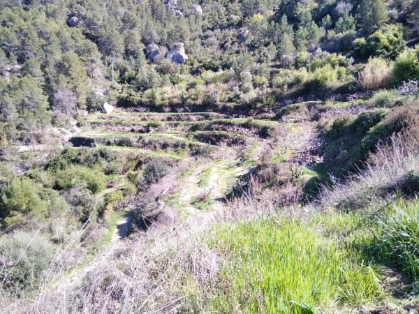 Terreno en Calle Cv-700 s/n, Vall de Gallinera thumbnail 3