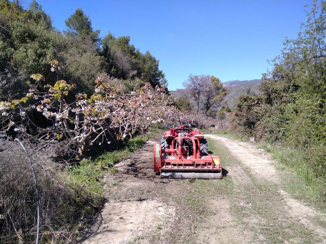 Działka na sprzedaż w Val de Gallinera, Alicante photo 4