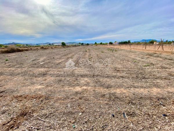 Terreno en El Castillo, Aspe photo 1
