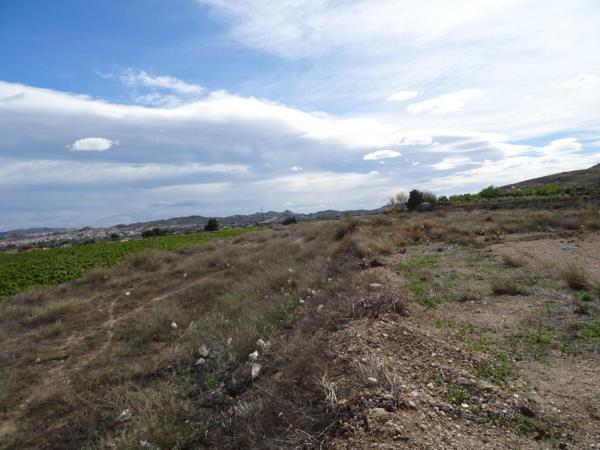 Terreno en San Juan, Aspe thumbnail 2