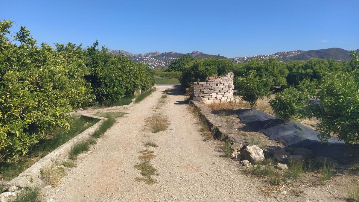 Terreno en venta en Pego, Alicante photo 5