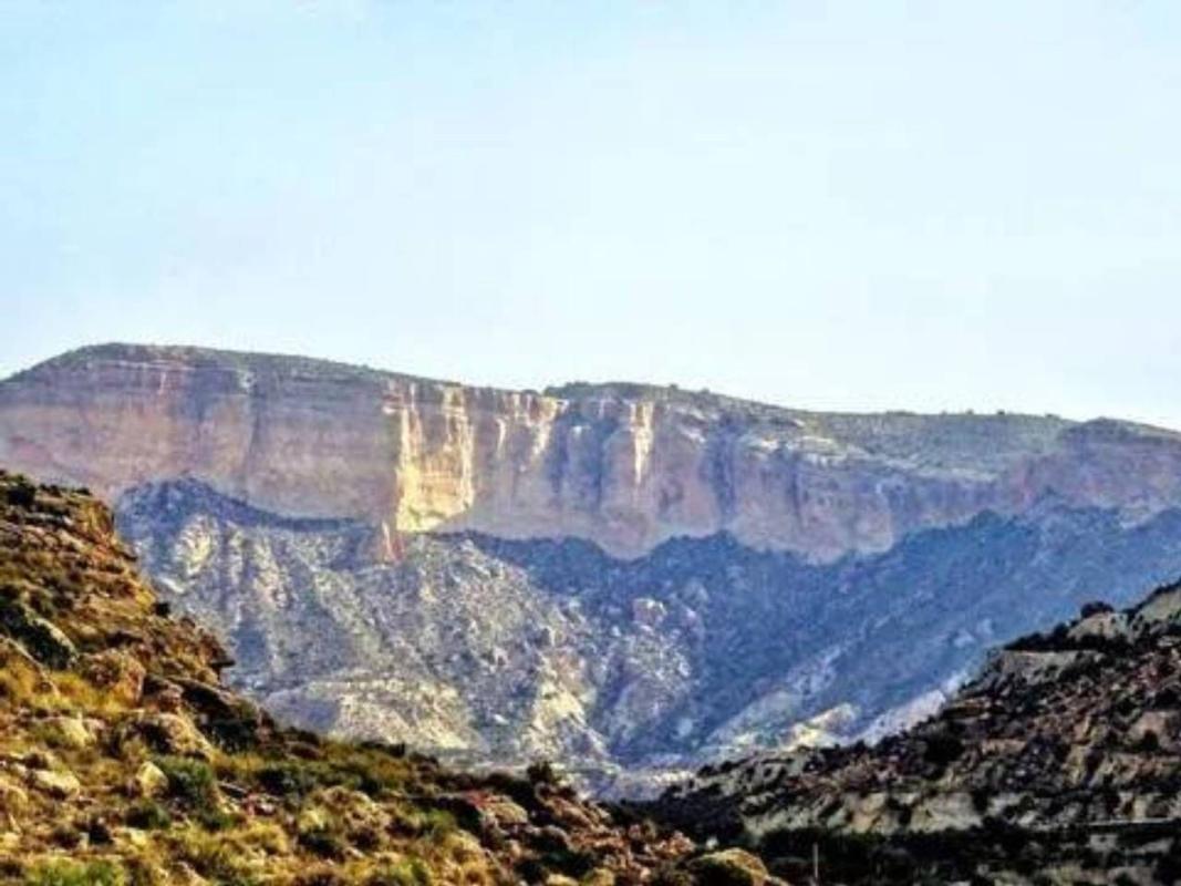 Land for sale in Crevillente, Alicante photo 4