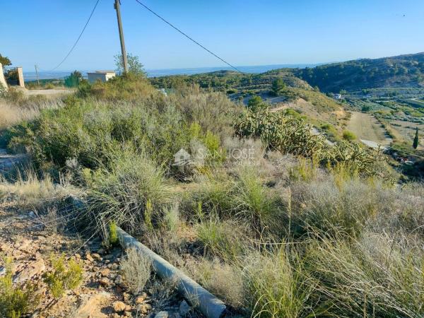 Terreno en Pedanías Oeste, Aspe photo 4