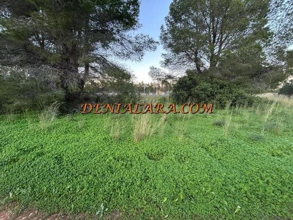 Terreno en La Pedrera-Vessanes, Denia photo 2