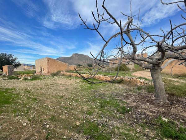 Terreno en Calle Elche.Bar, La Murada-Los Vicentes, Orihuela thumbnail 2