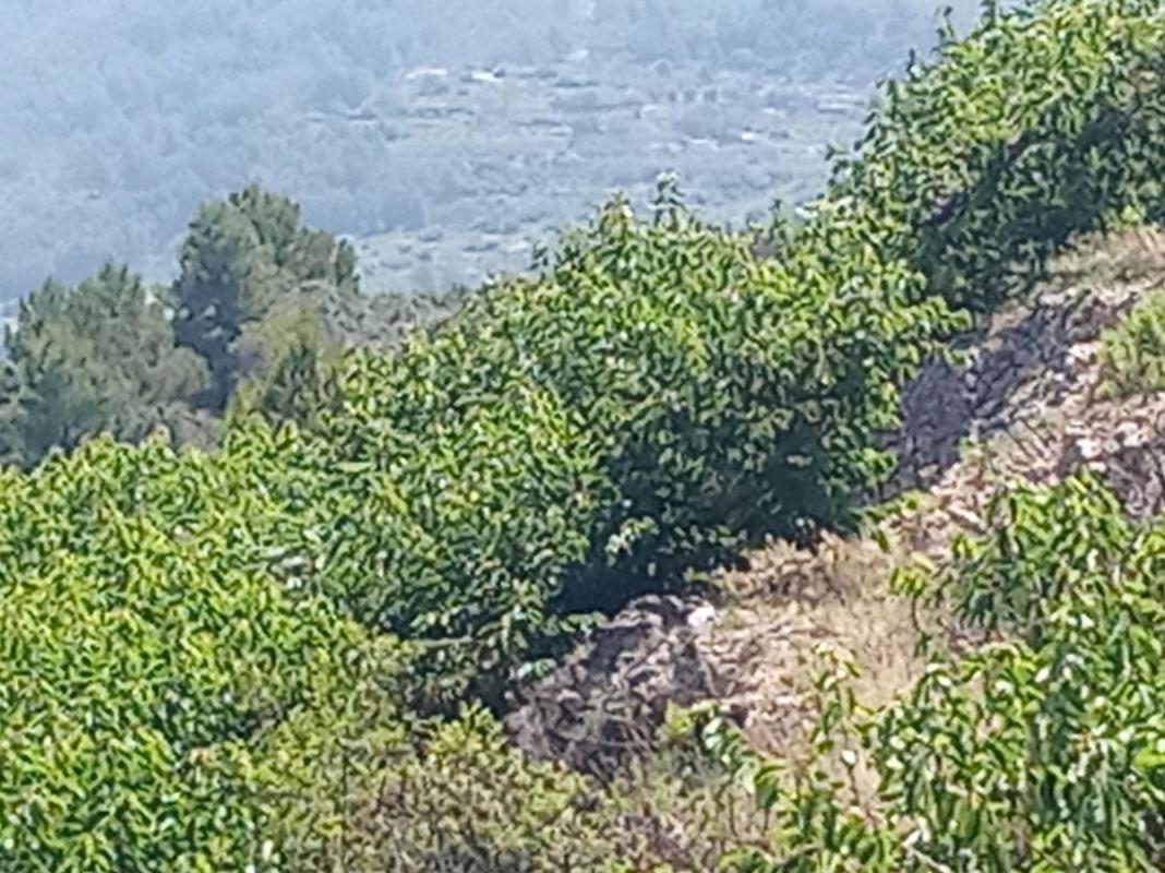 Terreno en venta en Vall de Gallinera, Alicante photo 5