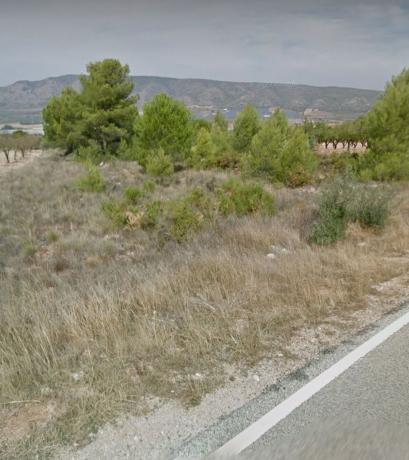 Terreno en Cv-804 s/n, Biar photo 1