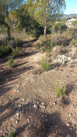 Terreno en barranc porc, Castalla photo 1