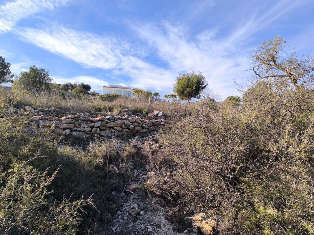 Land for sale in Sax, Alicante photo 1