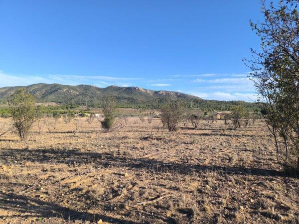 Terreno en Diseminado Casa Alberta, Salinas photo 4