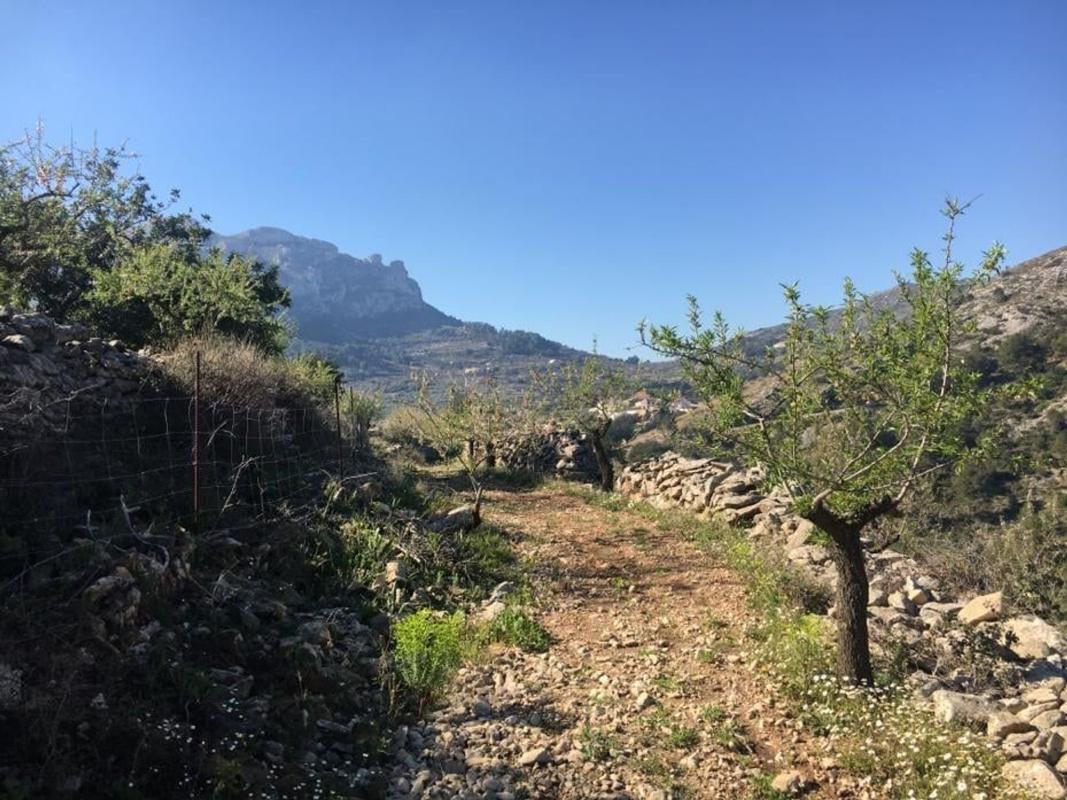 Terreno en venta en Vall de Gallinera, Alicante photo 2